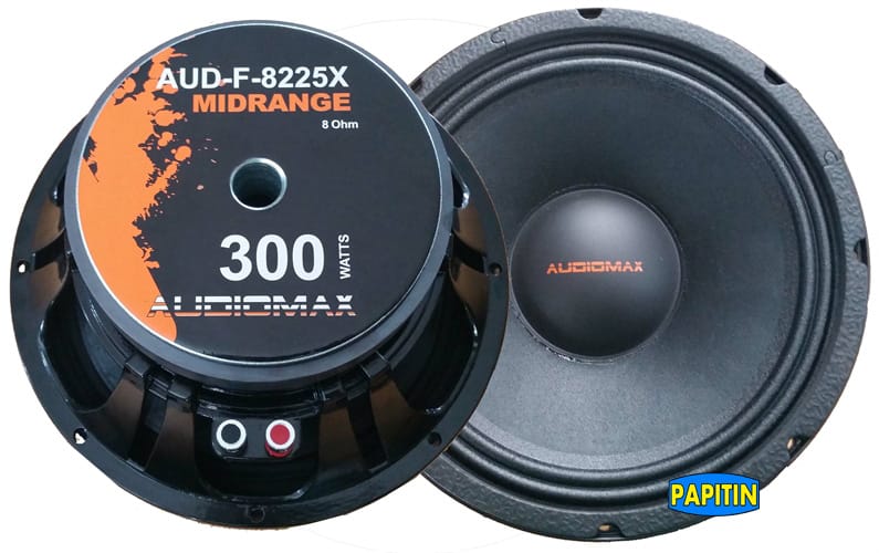 AUD-F-8225-1 Bocina 10″ 250W Audiomax Aud-F-8225 - Imagen 1