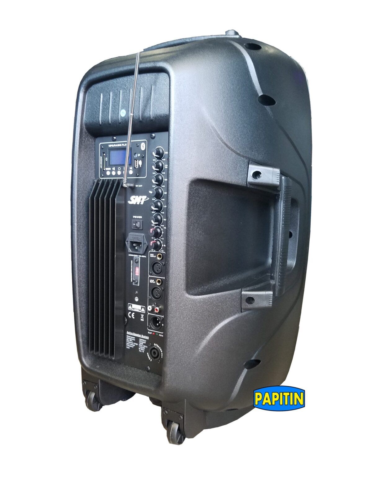 Cajon 15" Amplf USB c/ Mic. SMT     EON-15A-MIC - Imagen 3