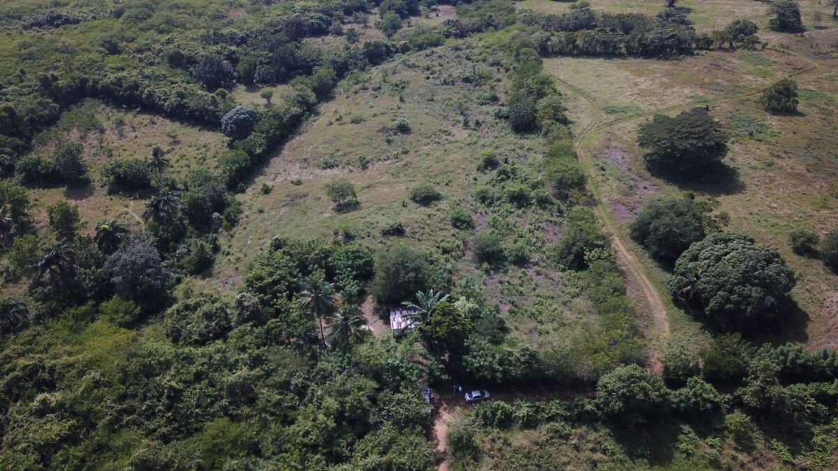 Se Vende Terreno de 92,964 m² Carretera Mella Boca Chica - Imagen 2