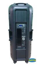 Bocina Doble 15″ Activa 3000W Promax - Imagen 5