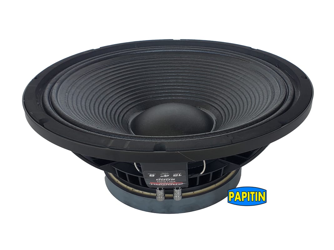 Bocina 15" 3000W PROMAX - Image 13