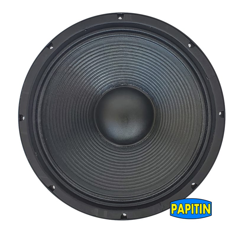 Bocina 15" 3000W PROMAX - Image 14