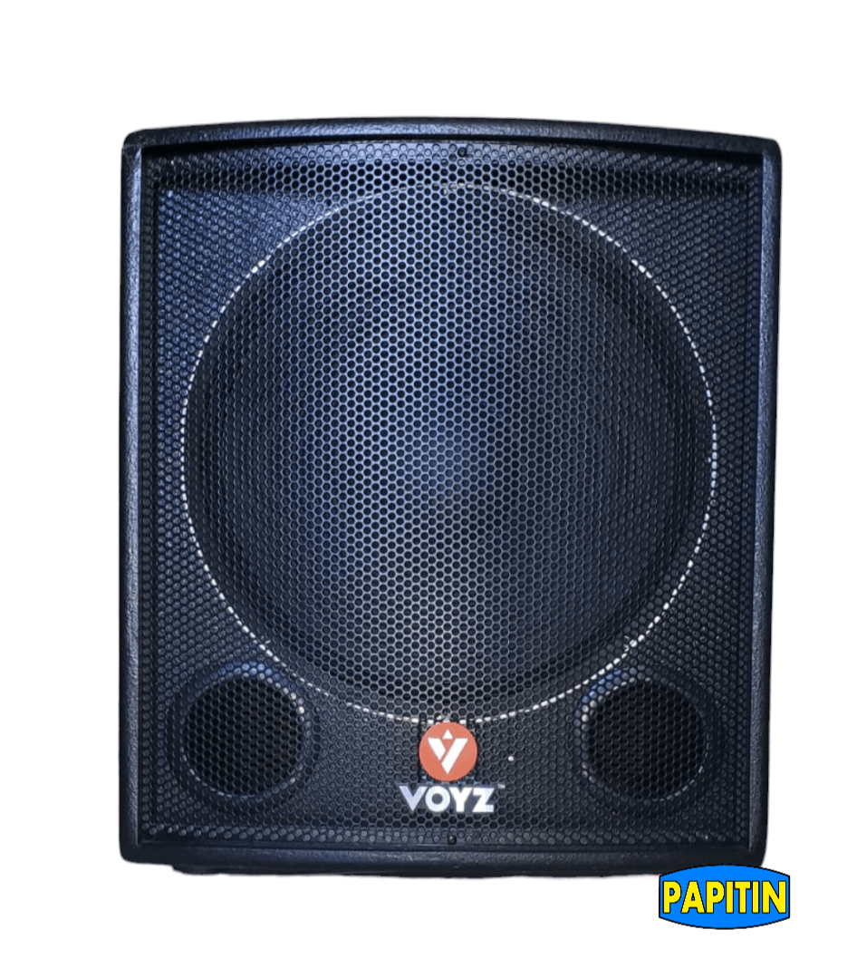 VZ-PR18A-1 Bajo Activo de 18″ Boyz 2400W - Imagen 1