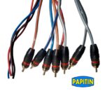 Meduza 30'' 4pre carav - Imagen 3