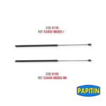 Botella bonete Toyota Camry 2007-2011