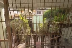 Se vende casa en Los Frailes Santo Domingo Este - Imagen 3